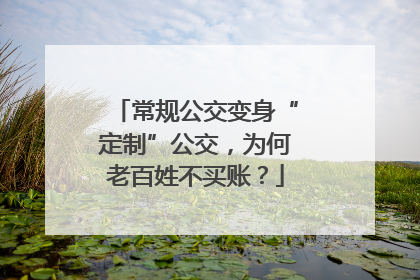 常规公交变身“定制”公交，为何老百姓不买账？
