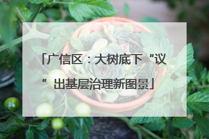 广信区：大树底下“议”出基层治理新图景