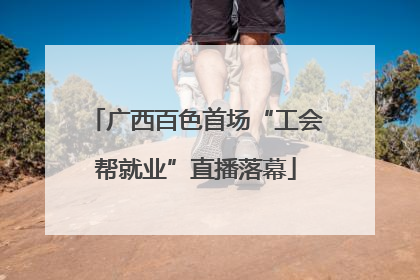广西百色首场“工会帮就业”直播落幕