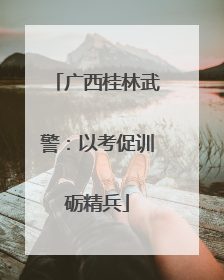 广西桂林武警：以考促训砺精兵