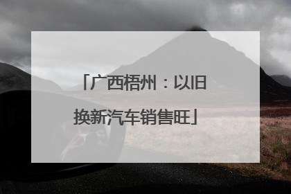 广西梧州：以旧换新汽车销售旺