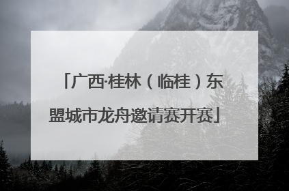 广西·桂林（临桂）东盟城市龙舟邀请赛开赛