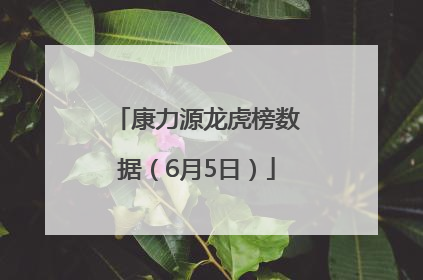 康力源龙虎榜数据（6月5日）