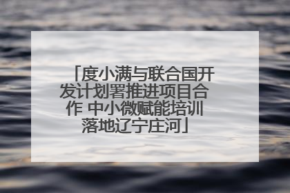 度小满与联合国开发计划署推进项目合作 中小微赋能培训落地辽宁庄河