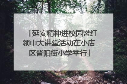 延安精神进校园暨红领巾大讲堂活动在小店区晋阳街小学举行