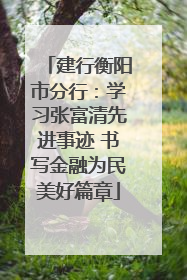 建行衡阳市分行：学习张富清先进事迹 书写金融为民美好篇章