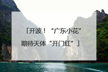 开波！“广东小花”期待天体“开门红”