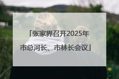 张家界召开2025年市总河长、市林长会议