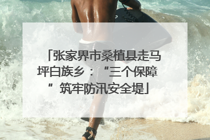 张家界市桑植县走马坪白族乡：“三个保障”筑牢防汛安全堤