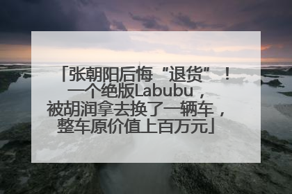 张朝阳后悔“退货”！一个绝版Labubu，被胡润拿去换了一辆车，整车原价值上百万元