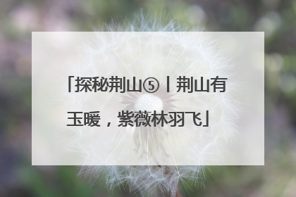 探秘荆山⑤丨荆山有玉暖，紫薇林羽飞