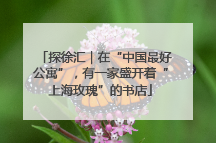 探徐汇｜在“中国最好公寓”，有一家盛开着“上海玫瑰”的书店