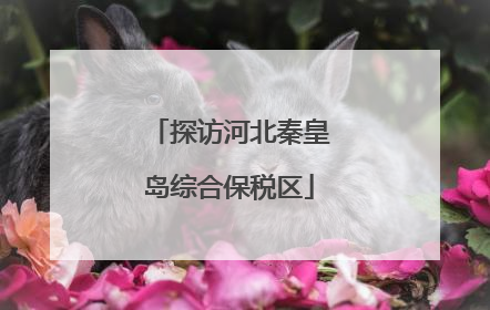 探访河北秦皇岛综合保税区