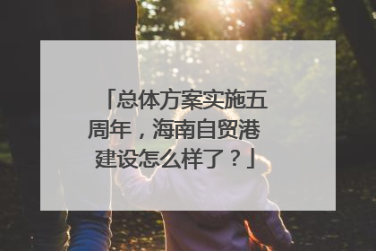 总体方案实施五周年，海南自贸港建设怎么样了？