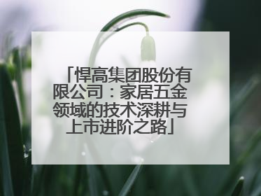 悍高集团股份有限公司：家居五金领域的技术深耕与上市进阶之路