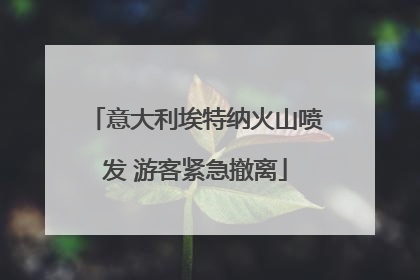 意大利埃特纳火山喷发 游客紧急撤离