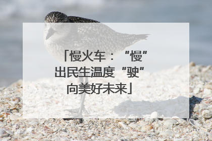 慢火车：“慢”出民生温度“驶”向美好未来