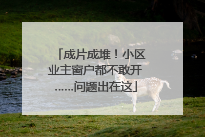 成片成堆！小区业主窗户都不敢开……问题出在这