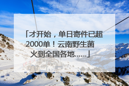 才开始，单日寄件已超2000单！云南野生菌火到全国各地……