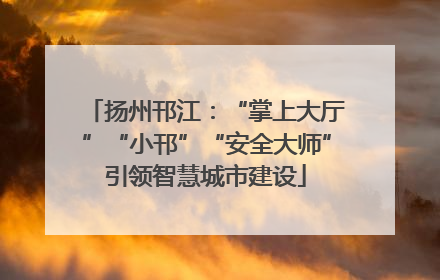 扬州邗江：“掌上大厅”“小邗”“安全大师”引领智慧城市建设