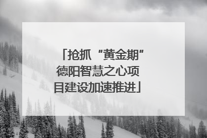 抢抓“黄金期” 德阳智慧之心项目建设加速推进