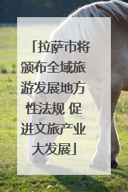 拉萨市将颁布全域旅游发展地方性法规 促进文旅产业大发展