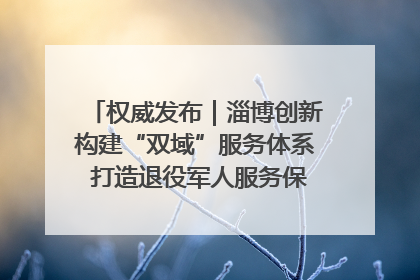 权威发布｜淄博创新构建“双域”服务体系 打造退役军人服务保障“淄博样板”