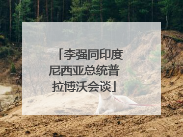 李强同印度尼西亚总统普拉博沃会谈