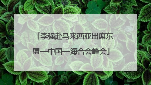 李强赴马来西亚出席东盟—中国—海合会峰会