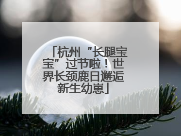 杭州“长腿宝宝”过节啦！世界长颈鹿日邂逅新生幼崽