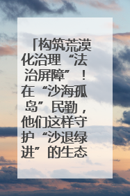 构筑荒漠化治理“法治屏障”！在“沙海孤岛”民勤，他们这样守护“沙退绿进”的生态奇迹