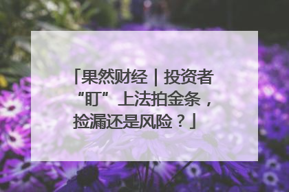 果然财经｜投资者“盯”上法拍金条，捡漏还是风险？