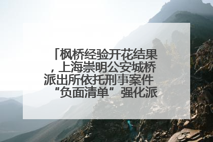 枫桥经验开花结果，上海崇明公安城桥派出所依托刑事案件“负面清单”强化派出所“主防”