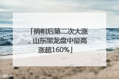 摘帽后第二次大涨，山东墨龙盘中最高涨超160%
