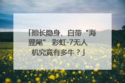 擅长隐身、自带“海狸尾” 彩虹-7无人机究竟有多牛？