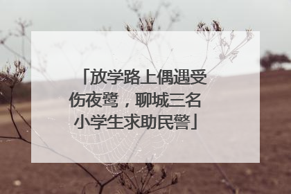 放学路上偶遇受伤夜鹭，聊城三名小学生求助民警