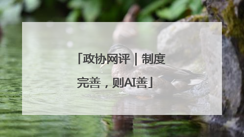 政协网评｜制度完善，则AI善