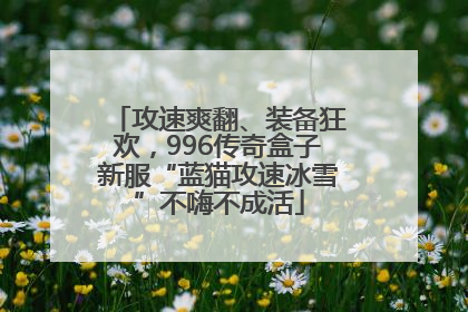 攻速爽翻、装备狂欢，996传奇盒子新服“蓝猫攻速冰雪”不嗨不成活