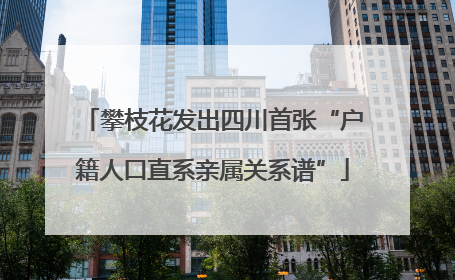 攀枝花发出四川首张“户籍人口直系亲属关系谱”