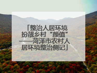整治人居环境 扮靓乡村“颜值”——菏泽市农村人居环境整治侧记
