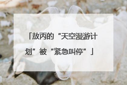 敖丙的“天空漫游计划”被“紧急叫停”