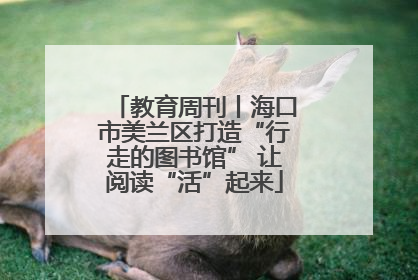 教育周刊丨海口市美兰区打造“行走的图书馆” 让阅读“活”起来