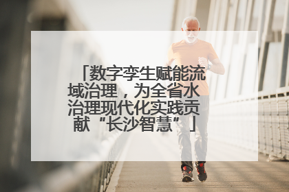 数字孪生赋能流域治理，为全省水治理现代化实践贡献“长沙智慧”