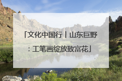 文化中国行丨山东巨野：工笔画绽放致富花