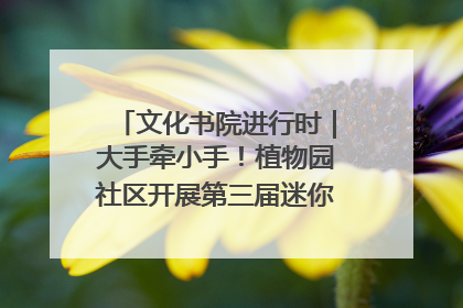 文化书院进行时｜大手牵小手！植物园社区开展第三届迷你马拉松活动