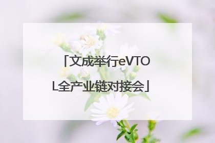 文成举行eVTOL全产业链对接会