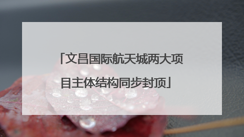 文昌国际航天城两大项目主体结构同步封顶