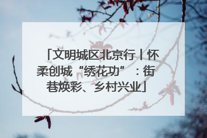 文明城区北京行丨怀柔创城“绣花功”：街巷焕彩、乡村兴业