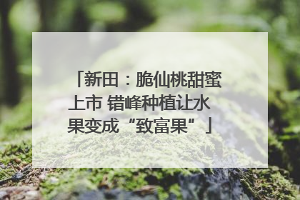新田：脆仙桃甜蜜上市 错峰种植让水果变成“致富果”