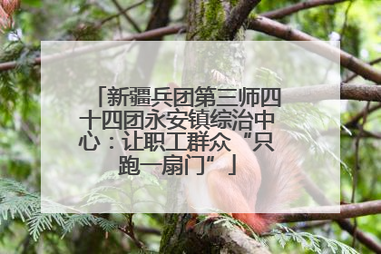 新疆兵团第三师四十四团永安镇综治中心：让职工群众“只跑一扇门”